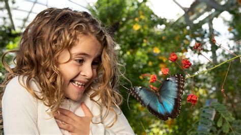 springs preserve butterfly exhibit